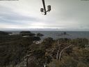 ./images/calvert/lookout/20210408/lookout20210408_124502.jpg