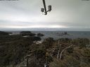 ./images/calvert/lookout/20210408/lookout20210408_130501.jpg