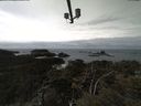 ./images/calvert/lookout/20210408/lookout20210408_135001.jpg