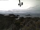 ./images/calvert/lookout/20210408/lookout20210408_144502.jpg