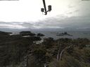 ./images/calvert/lookout/20210408/lookout20210408_145002.jpg