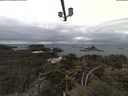 ./images/calvert/lookout/20210408/lookout20210408_154001.jpg