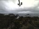 ./images/calvert/lookout/20210409/lookout20210409_092001.jpg