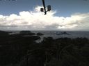 ./images/calvert/lookout/20210409/lookout20210409_111002.jpg