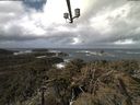 ./images/calvert/lookout/20210409/lookout20210409_111502.jpg