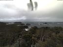 ./images/calvert/lookout/20210409/lookout20210409_121501.jpg