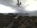 ./images/calvert/lookout/20210409/lookout20210409_140501.jpg