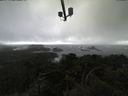 ./images/calvert/lookout/20210409/lookout20210409_145001.jpg