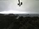 ./images/calvert/lookout/20210409/lookout20210409_145501.jpg