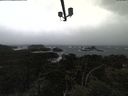 ./images/calvert/lookout/20210409/lookout20210409_162001.jpg