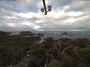 ./images/calvert/lookout/20210410/lookout20210410_090501.jpg