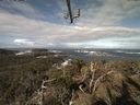 ./images/calvert/lookout/20210410/lookout20210410_101502.jpg