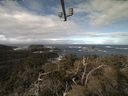 ./images/calvert/lookout/20210410/lookout20210410_102502.jpg