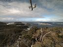 ./images/calvert/lookout/20210410/lookout20210410_105001.jpg