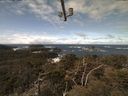 ./images/calvert/lookout/20210410/lookout20210410_120502.jpg