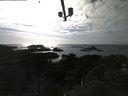 ./images/calvert/lookout/20210411/lookout20210411_171001.jpg