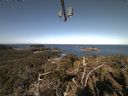 ./images/calvert/lookout/20210412/lookout20210412_095002.jpg