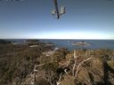 ./images/calvert/lookout/20210412/lookout20210412_102501.jpg