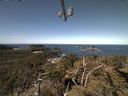 ./images/calvert/lookout/20210412/lookout20210412_111001.jpg