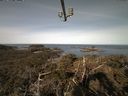 ./images/calvert/lookout/20210413/lookout20210413_091501.jpg