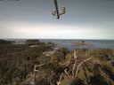 ./images/calvert/lookout/20210413/lookout20210413_100502.jpg