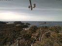 ./images/calvert/lookout/20210413/lookout20210413_124501.jpg