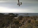 ./images/calvert/lookout/20210413/lookout20210413_130501.jpg