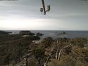 ./images/calvert/lookout/20210413/lookout20210413_132501.jpg