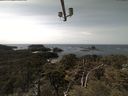 ./images/calvert/lookout/20210413/lookout20210413_140502.jpg