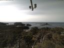 ./images/calvert/lookout/20210413/lookout20210413_143501.jpg