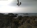 ./images/calvert/lookout/20210413/lookout20210413_150501.jpg