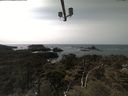 ./images/calvert/lookout/20210413/lookout20210413_151001.jpg