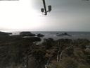 ./images/calvert/lookout/20210413/lookout20210413_152501.jpg