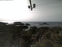 ./images/calvert/lookout/20210413/lookout20210413_154502.jpg