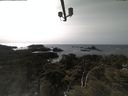 ./images/calvert/lookout/20210413/lookout20210413_155002.jpg