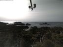 ./images/calvert/lookout/20210413/lookout20210413_155502.jpg