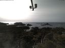 ./images/calvert/lookout/20210413/lookout20210413_160502.jpg