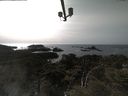 ./images/calvert/lookout/20210413/lookout20210413_161002.jpg