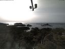 ./images/calvert/lookout/20210413/lookout20210413_163501.jpg
