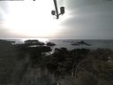 ./images/calvert/lookout/20210413/lookout20210413_170501.jpg