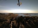 ./images/calvert/lookout/20210414/lookout20210414_074001.jpg