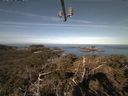 ./images/calvert/lookout/20210414/lookout20210414_091501.jpg