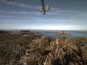 ./images/calvert/lookout/20210414/lookout20210414_094501.jpg