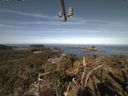 ./images/calvert/lookout/20210414/lookout20210414_095501.jpg