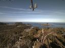 ./images/calvert/lookout/20210414/lookout20210414_100001.jpg