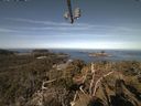 ./images/calvert/lookout/20210414/lookout20210414_100501.jpg