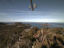 ./images/calvert/lookout/20210414/lookout20210414_101001.jpg