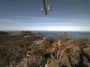 ./images/calvert/lookout/20210414/lookout20210414_102001.jpg