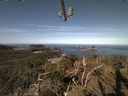./images/calvert/lookout/20210414/lookout20210414_102502.jpg