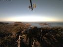 ./images/calvert/lookout/20210415/lookout20210415_074002.jpg